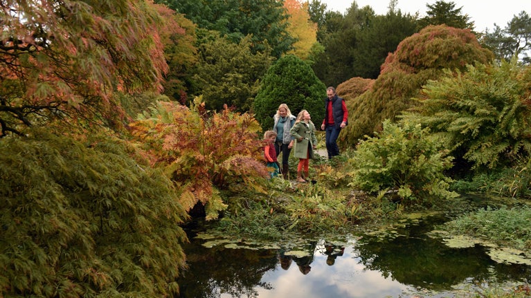 A family of four stand on the other side of a small lake surrounding by autumn foliage looking around them and into the water